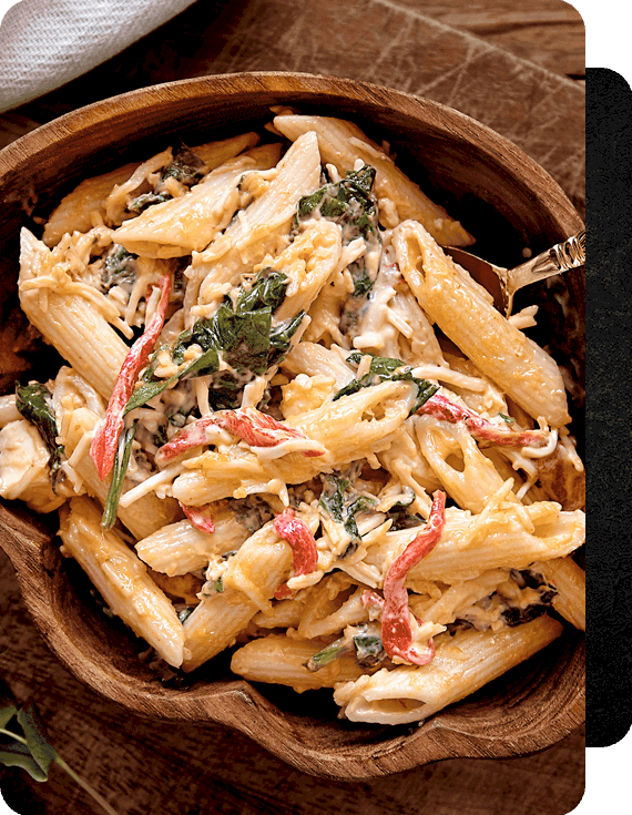 Catalogue pic02 free img